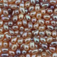 Perles nacres sans trou de culture d'eau douce, perle d'eau douce cultivée, riz, DIY & normes différentes pour le choix & aucun trou, plus de couleurs à choisir Vendu par lot