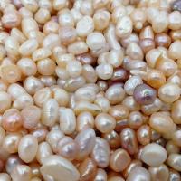 Naturel d'eau douce perles, perle d'eau douce cultivée, Irrégulière, DIY & aucun trou, couleurs mélangées, 7-8mm Vendu par lot