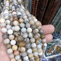 Natural Bamboo Agate Beads, Round, DIY 