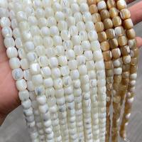 Trochus perles, Haut Coque, Seau, poli, DIY & normes différentes pour le choix, plus de couleurs à choisir, Vendu par brin[