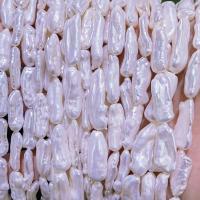 Biwa Cultured Freshwater Pearl Beads, DIY, white, 8-20mm Approx 15 Inch 