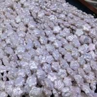 Barock kultivierten Süßwassersee Perlen, Natürliche kultivierte Süßwasserperlen, DIY, weiß, 11x12mm, Länge:ca. 15 ZollInch, verkauft von Strang