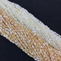 Natural Freshwater Shell Beads, DIY Approx 38 cm 