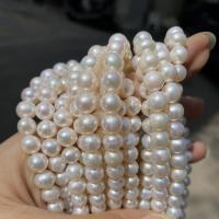 Naturel d'eau douce perles, perle d'eau douce cultivée, Légèrement rond, DIY, blanc, 7-8mm Environ 38 cm, Vendu par brin