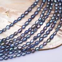 Keshi Cultured Freshwater Pearl Beads, DIY, black, 7-8mm Approx 35-37 cm 