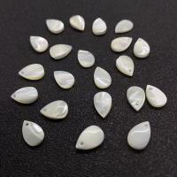 Natural Freshwater Shell Pendants, Teardrop, DIY, white [