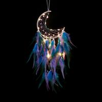 Fashion Dream Catcher, Iron, with Cotton Thread & leather cord & Feather & Plastic, for home and office 550mm 