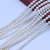 Naturel d'eau douce perles, perle d'eau douce cultivée, Légèrement rond, DIY, blanc, 8-9mm Environ 38-40 cm, Vendu par brin