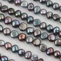Keshi Cultured Freshwater Pearl Beads, colorful plated, DIY black Approx 39-40 cm 