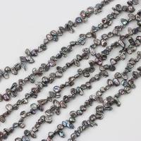 Baroque Cultured Freshwater Pearl Beads, colorful plated, DIY & top drilled, black, 5-7mm Approx 37-40 cm 