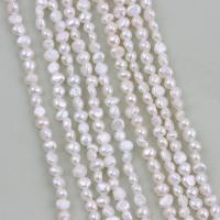 Keshi Cultured Freshwater Pearl Beads, DIY, white, 2-3mm Approx 36-38 cm 