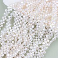 Naturel d'eau douce perles, perle d'eau douce cultivée, Plat rond, DIY, blanc, 5-8mm Environ 40 cm, Vendu par brin