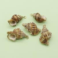Brass Shell Pendants, with Brass, Conch, gold color plated, DIY, mixed colors, 23x37- 