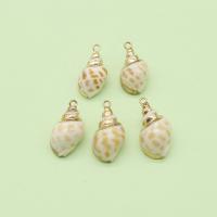 Brass Shell Pendants, with Brass, Conch, gold color plated, DIY, mixed colors 