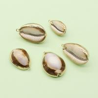 Brass Shell Pendants, with Brass, Conch, gold color plated, DIY, mixed colors, 15x25- 
