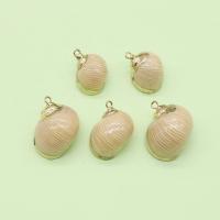 Brass Shell Pendants, with Brass, Conch, gold color plated, DIY, mixed colors, 12x20- 