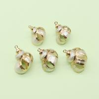 Brass Shell Pendants, with Brass, Conch, gold color plated, DIY & hollow, mixed colors, 21x23- 
