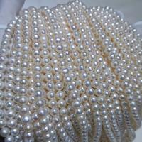 Natural Freshwater Pearl Loose Beads, Slightly Round, DIY, white, 6-7mm Approx 15 Inch 