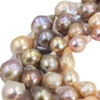 Perles nacres baroques de culture d'eau douce , perle d'eau douce cultivée, DIY & normes différentes pour le choix, multicolore Environ 39 cm, Vendu par brin