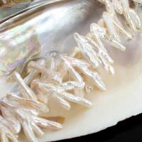 Barock kultivierten Süßwassersee Perlen, Natürliche kultivierte Süßwasserperlen, DIY, weiß, 20-35mm, Länge:ca. 40 cm, verkauft von Strang