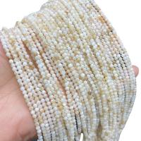 Natural Freshwater Shell Beads, Round, polished, DIY, 3mm, Approx 