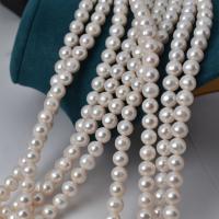 Naturel d'eau douce perles, perle d'eau douce cultivée, Légèrement rond, DIY, blanc, 10-11mm Environ 40 cm, Vendu par brin