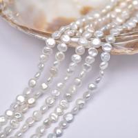 Petites perles cultivées en eau douce, perle d'eau douce cultivée, Baroque, DIY, 7-8mm Environ 38-40 cm, Vendu par brin