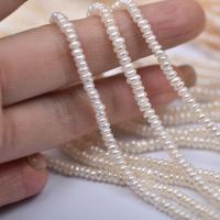 Natural Freshwater Pearl Loose Beads, Flat Round, DIY white Approx 37 cm 