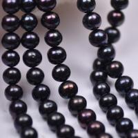 Naturel d'eau douce perles, perle d'eau douce cultivée, Légèrement rond, DIY, noire, 9-10mm Environ 37-39 cm, Vendu par brin
