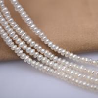 Naturel d'eau douce perles, perle d'eau douce cultivée, Plat rond, DIY, blanc, 2.5-3.5mm Environ 39-40 cm, Vendu par brin