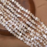 Petites perles cultivées en eau douce, perle d'eau douce cultivée, Baroque, DIY, rose, 7-8mm Environ 40-41 cm, Vendu par brin