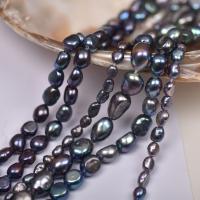 Keshi Cultured Freshwater Pearl Beads, DIY black Approx 35-37 cm 