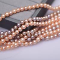 Naturales agua dulce perlas sueltas, Perlas cultivadas de agua dulce, Ligeramente redondo, Bricolaje, más colores para la opción, 5-6mm, longitud:aproximado 36-37 cm, Vendido por Sarta