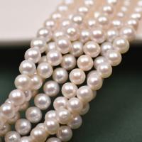 Naturel d'eau douce perles, perle d'eau douce cultivée, Légèrement rond, DIY, blanc, 6-7mm Environ 37-39 cm, Vendu par brin
