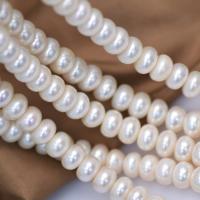 Natural Freshwater Pearl Loose Beads, Flat Round, DIY, white, 10-11mm Approx 39-40 cm 