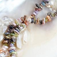 Baroque Cultured Freshwater Pearl Beads, DIY, multi-colored, 7-8mm Approx 39 cm, Approx 
