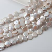 Coin Cultured Freshwater Pearl Beads, Button, DIY, white, 15-16mm Approx 39-40 cm 