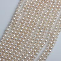 Freshwater Pearl Beads, Slightly Round, DIY, white, 5-5.5mm Approx 39-41 cm 