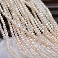 Freshwater Pearl Beads, Slightly Round, DIY, white, 4-5mm Approx 37-40 cm 