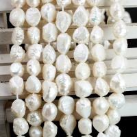 Petites perles cultivées en eau douce, perle d'eau douce cultivée, Baroque, DIY, blanc, 8-9mm Environ 38 cm, Vendu par brin