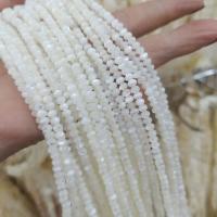 Weiße Lippenschale Perlen, DIY, weiß, 3x4mm, Länge:ca. 40 cm, ca. 90PCs/Strang, verkauft von Strang