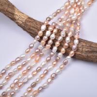Keshi Cultured Freshwater Pearl Beads, DIY, 6mm Approx 36 cm, Approx 