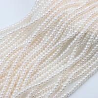 Naturel d'eau douce perles, perle d'eau douce cultivée, Plat rond, DIY, blanc, 4mm Environ 37-39 cm, Vendu par brin