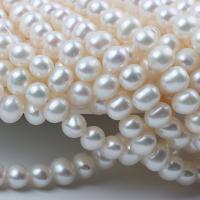 Natural Freshwater Pearl Loose Beads, Slightly Round, DIY white Approx 36-38 cm 