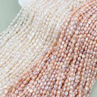 Keshi Cultured Freshwater Pearl Beads, DIY 5-6mm Approx 36-38 cm 