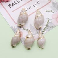 Brass Shell Pendants, with Brass, Conch, gold color plated, DIY, mixed colors, 14x17- 
