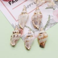Brass Shell Pendants, with Brass, Conch, gold color plated, DIY, mixed colors, 16x34- 