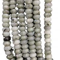 Labradorit Perlen, flache Runde, poliert, DIY, keine, 5x8mm, Länge:ca. 38 cm, verkauft von Strang