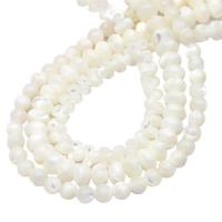 La Perla de Concha Natural, Nácar, Bricolaje & diverso tamaño para la opción & diferentes estilos para la opción, Blanco, agujero:aproximado 0.6mm, Vendido por Bolsa