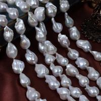 Baroque Cultured Freshwater Pearl Beads, irregular, DIY, white, 13-15x20-25mm Approx 40 cm 